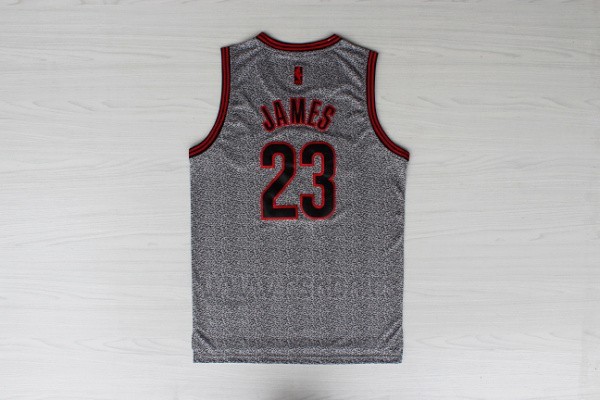 Camiseta Moda Estatica Cleveland Cavaliers LeBron James #23 Gris